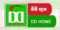 DD Home logo