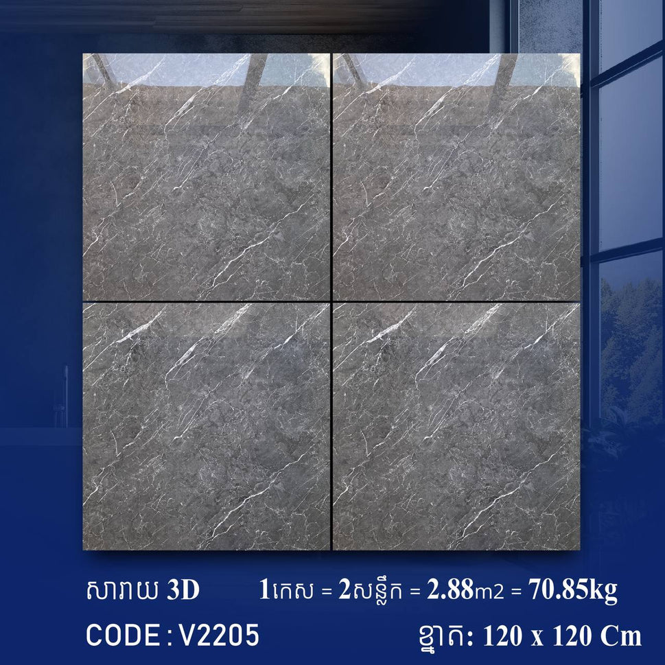 ការ៉ូខ្នាតធំ 120*120cm 3D V2205 / កេស