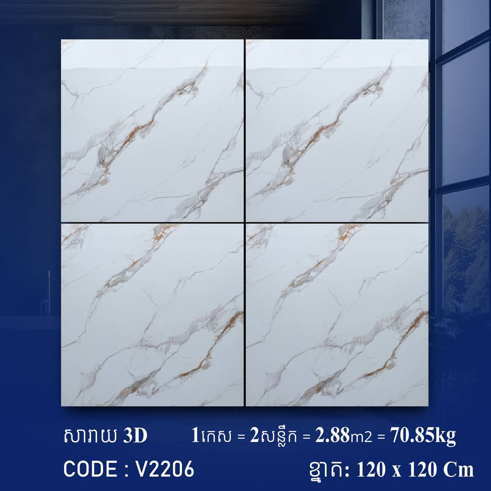 ការ៉ូខ្នាតធំ 120*120cm 3D V2206 / កេស