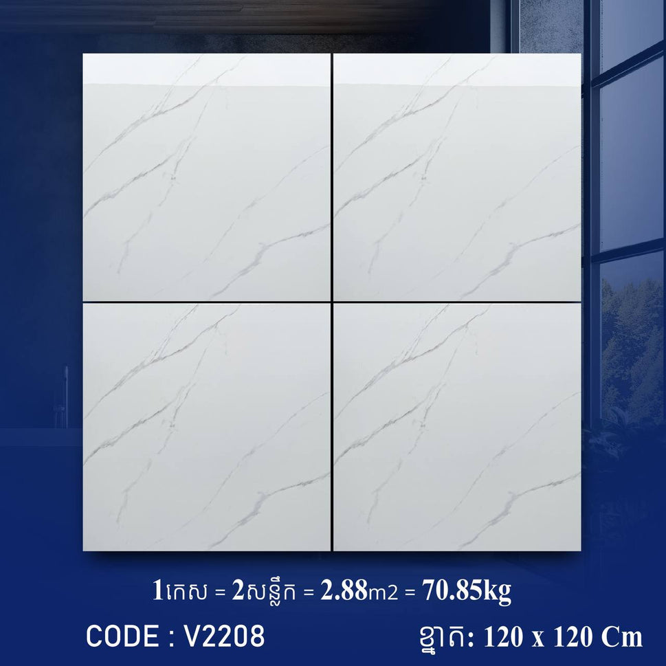 ការ៉ូខ្នាតធំ 120*120cm 3D V2208 / កេស