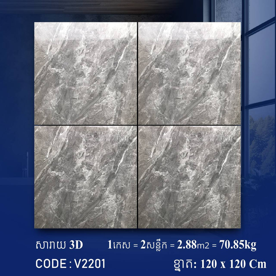 ការ៉ូខ្នាតធំ 120*120cm 3D V2201 / កេស