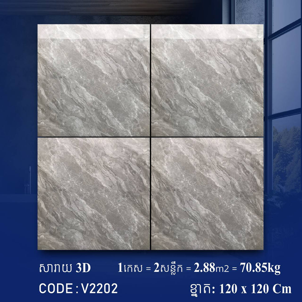 ការ៉ូខ្នាតធំ 120*120cm 3D V2202 / កេស