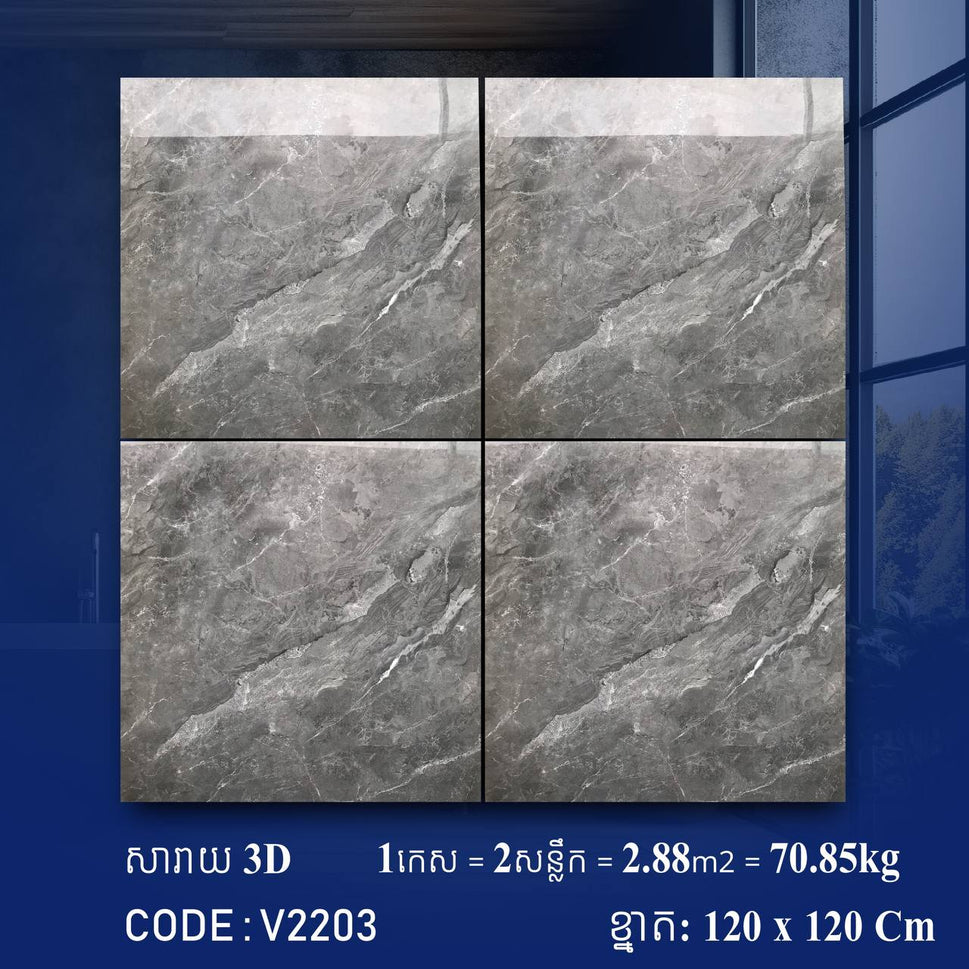 ការ៉ូខ្នាតធំ 120*120cm 3D V2203 / កេស