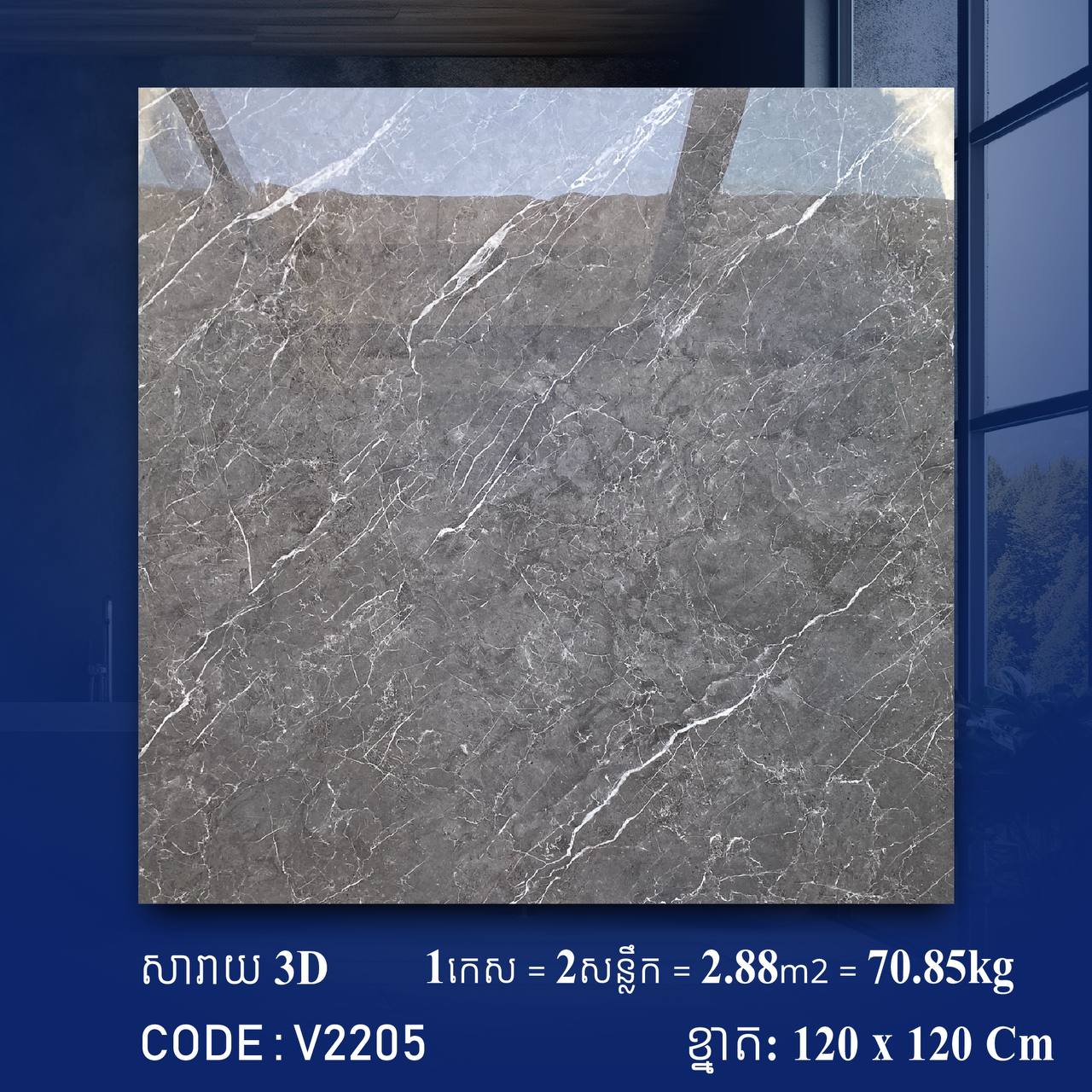 ការ៉ូខ្នាតធំ 120*120cm 3D V2205 / កេស