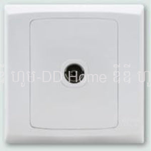 ព្រីទូរស្សន៍ SGT TX Series TV Socket