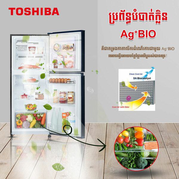 ទូរទឹកកក TOSHIBA-GR-A28KS(UK1)