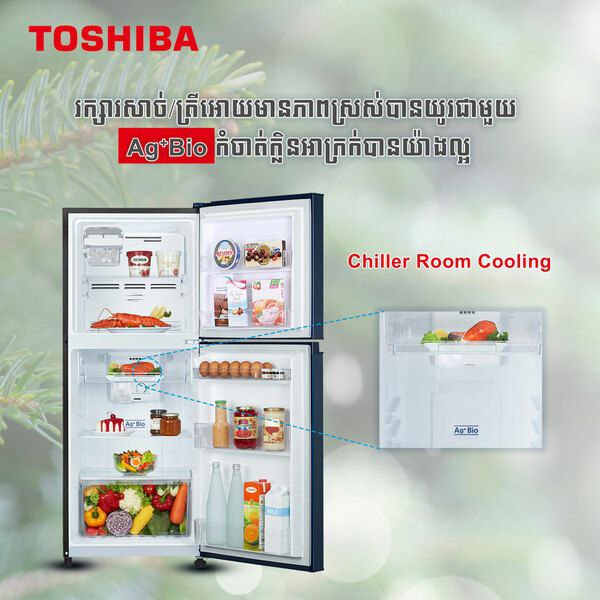 ទូរទឹកកក TOSHIBA-GR-A28KS(UK1)