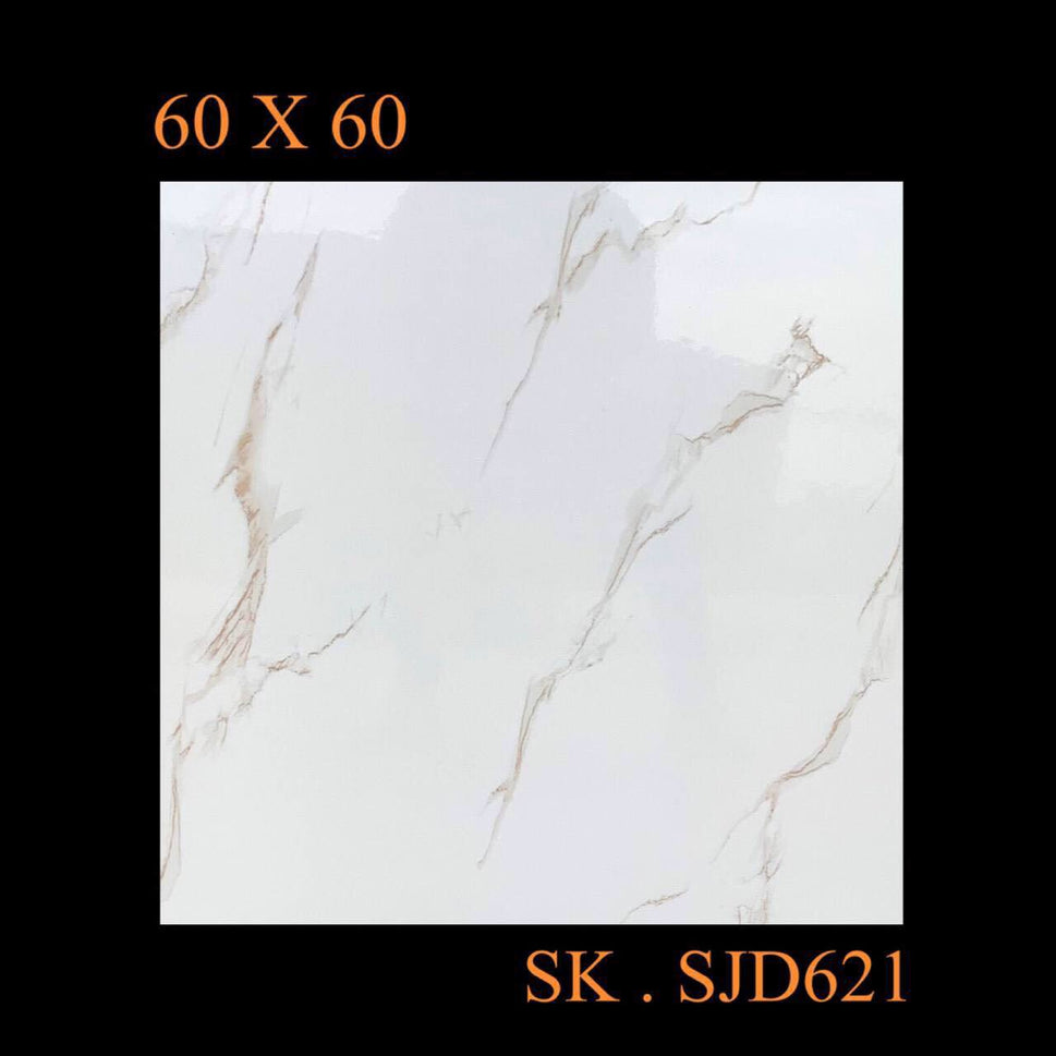 ការ៉ូបាត 60×60 កូដ SJD621