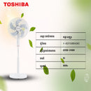 TOSHIBA