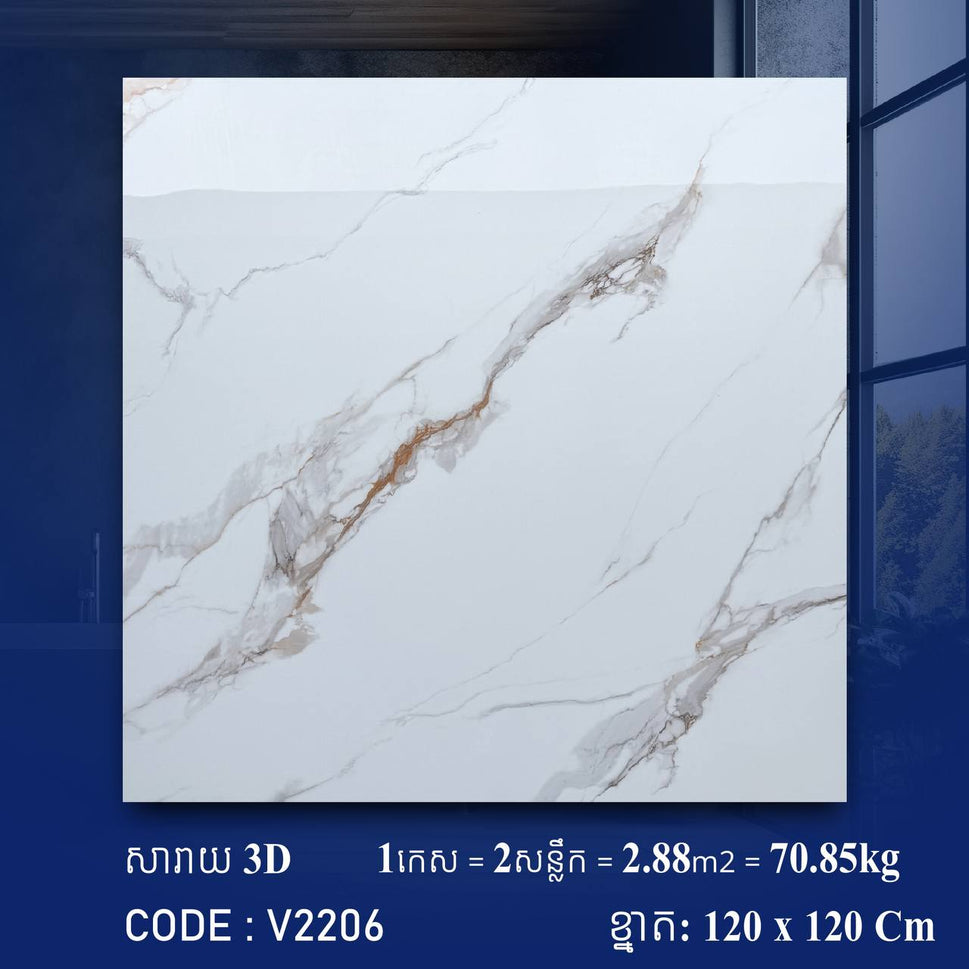 ការ៉ូខ្នាតធំ 120*120cm 3D V2206 / កេស