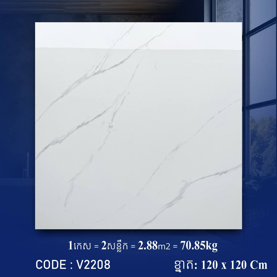 ការ៉ូខ្នាតធំ 120*120cm 3D V2208 / កេស