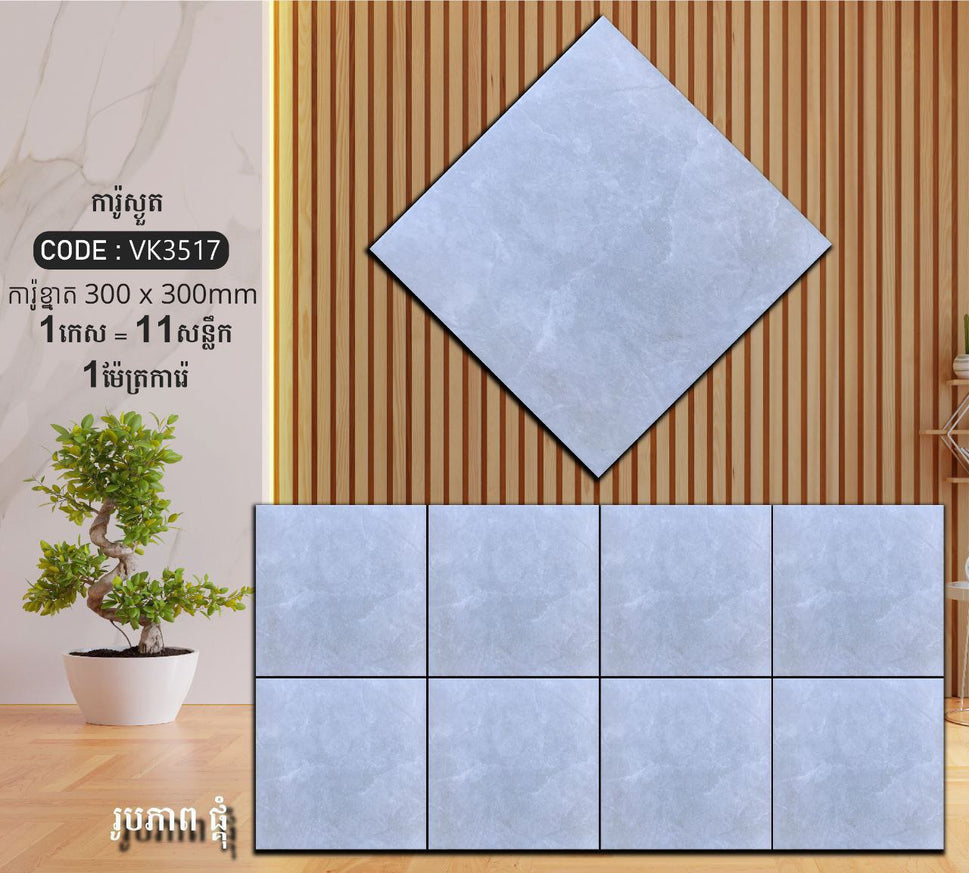 ការ៉ូបាតបន្ទប់ទឹក Bathroom Floor Tile 30x30cm VK3517