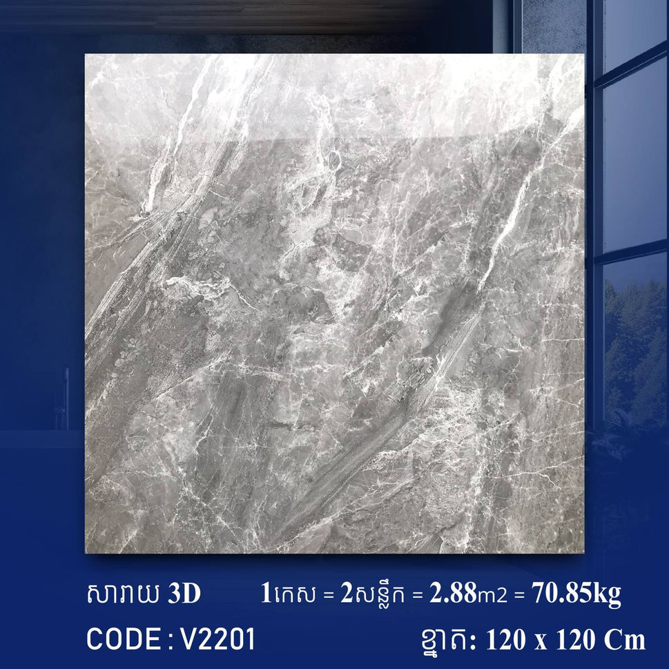 ការ៉ូខ្នាតធំ 120*120cm 3D V2201 / កេស