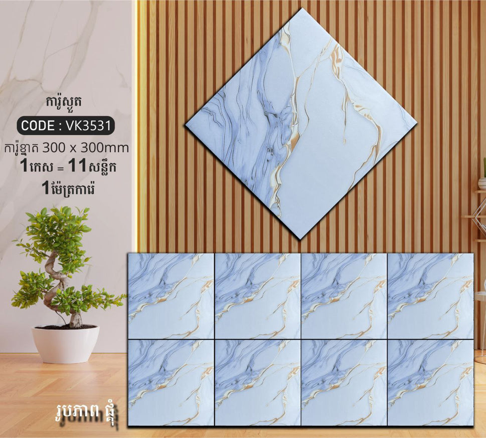 ការ៉ូបាតបន្ទប់ទឹក Bathroom Floor Tile 30x30cm VK3531