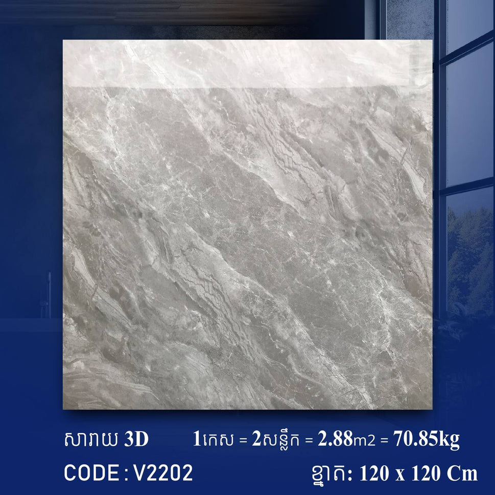 ការ៉ូខ្នាតធំ 120*120cm 3D V2202 / កេស