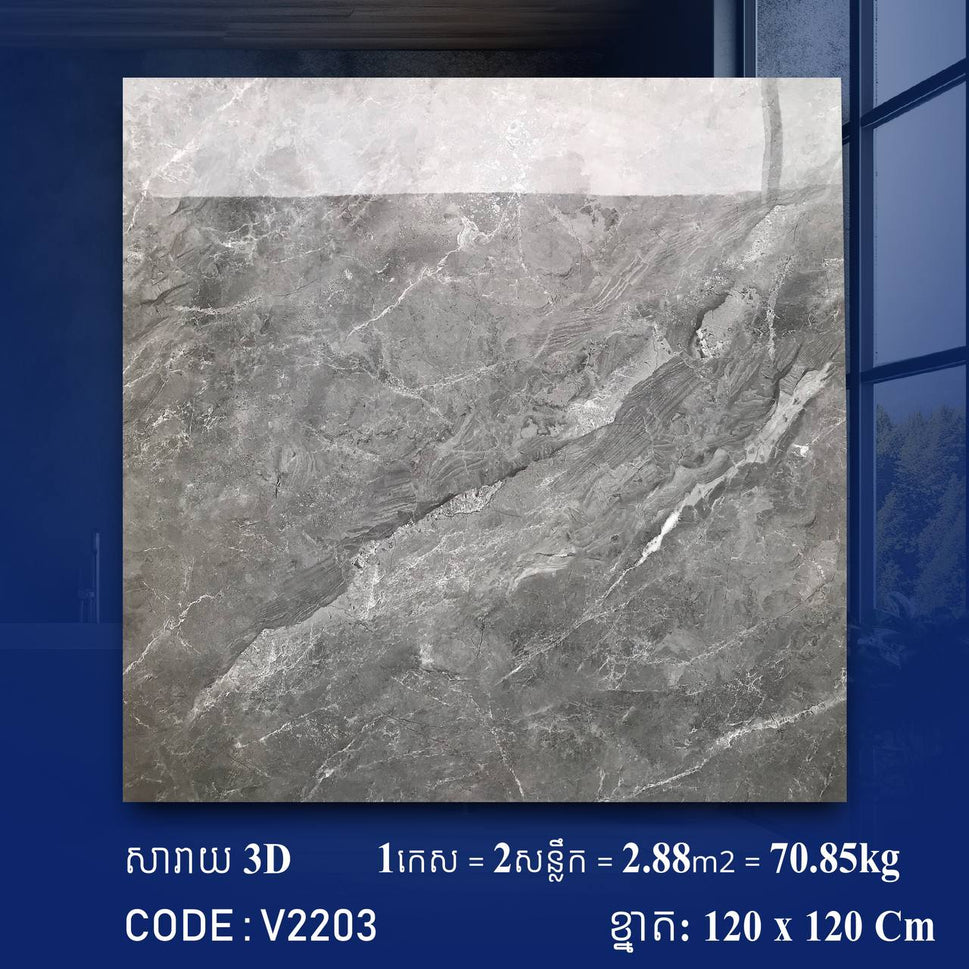 ការ៉ូខ្នាតធំ 120*120cm 3D V2203 / កេស