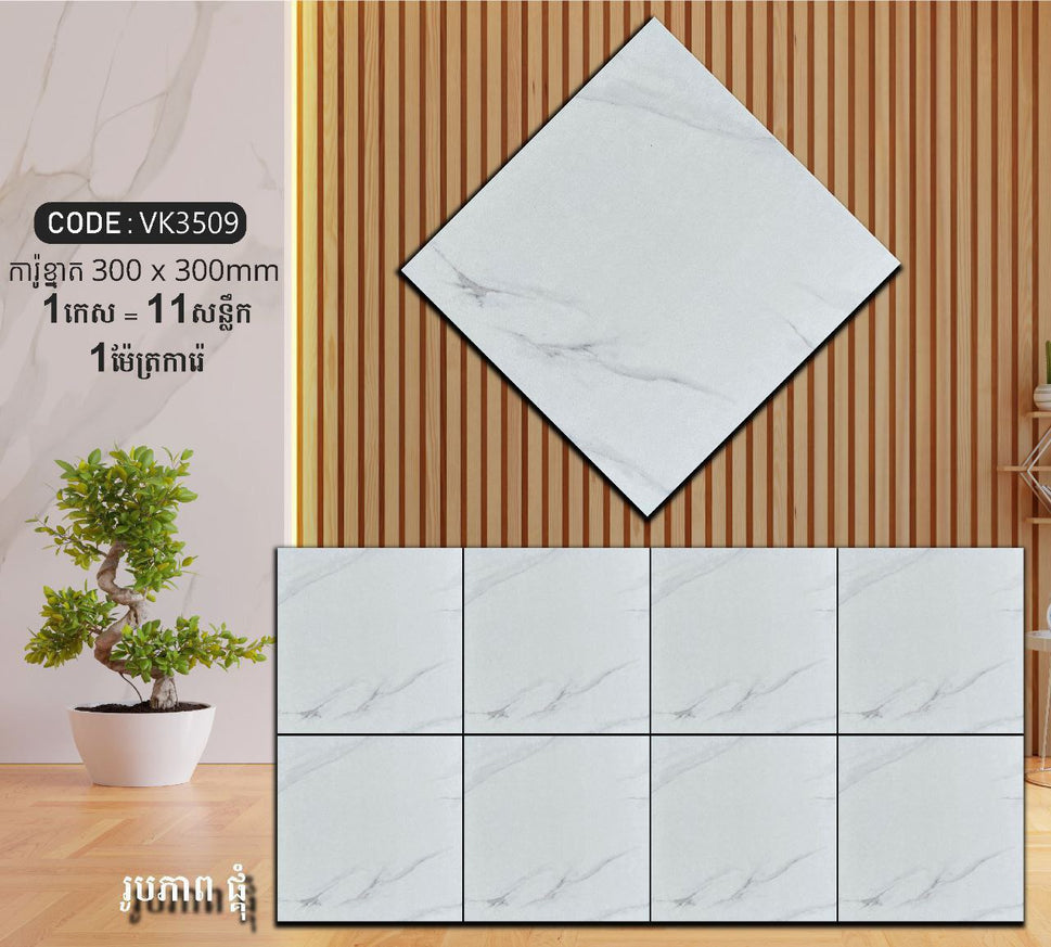 ការ៉ូបាតបន្ទប់ទឹក Bathroom Floor Tile 30x30cm VK3509