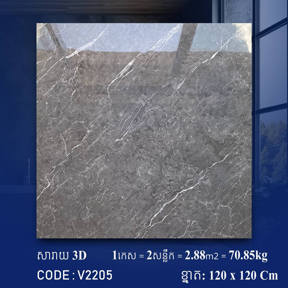ការ៉ូខ្នាតធំ 120*120cm 3D V2205 / កេស